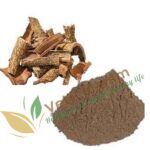 Aalam Pattai (50g) – Herbal Remedy for Joint Pain, Skin & Digestive Health | ஆலம் பட்டை மூலிகை