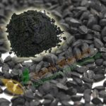 Karunseeraga Podi (50g) – Herbal Remedy for Digestion, Detox & Immunity | கருஞ்சீரக பொடி