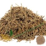 Kurunthotti Ver (50g) – Natural Remedy for Digestion, Detox & Diabetes | Vetrimaram.com | குறுந்தொட்டி