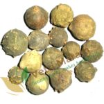 Masikai Powder – Herbal Remedy for Mouth Ulcers & Digestion