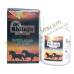 Shilajit-Capsules
